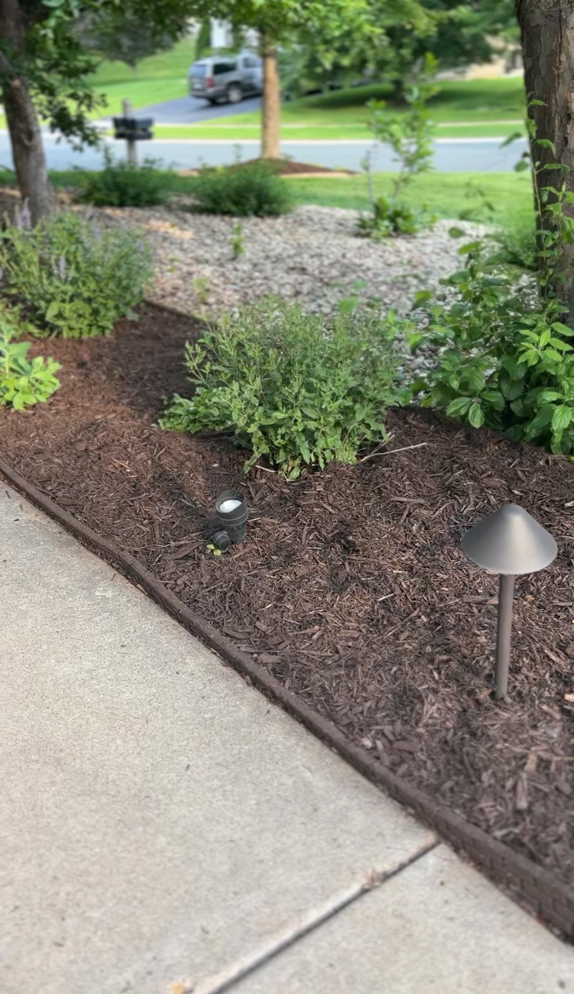 Mulch Masters project