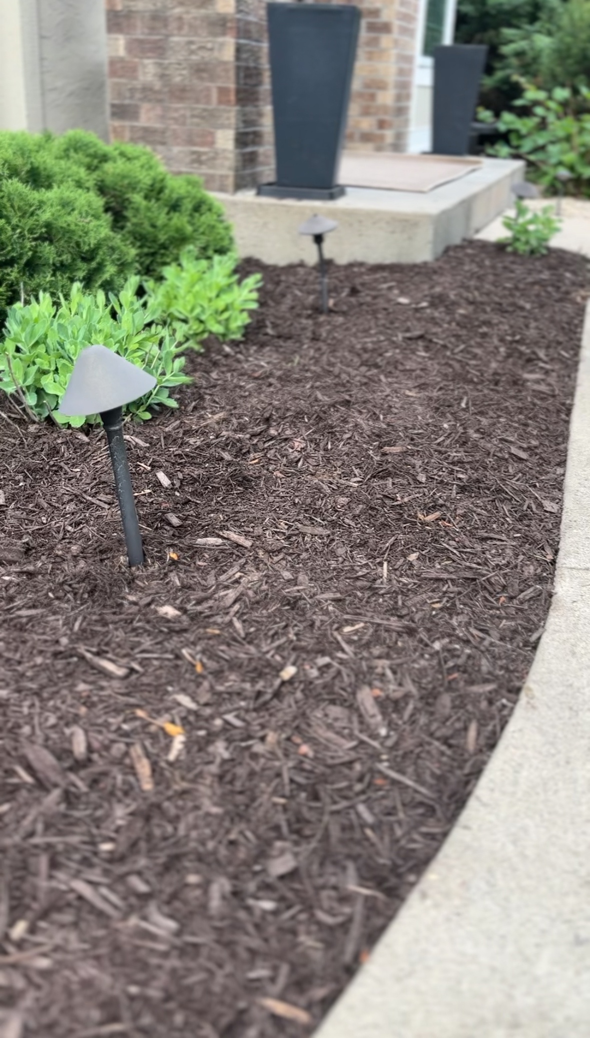 Mulch Masters project