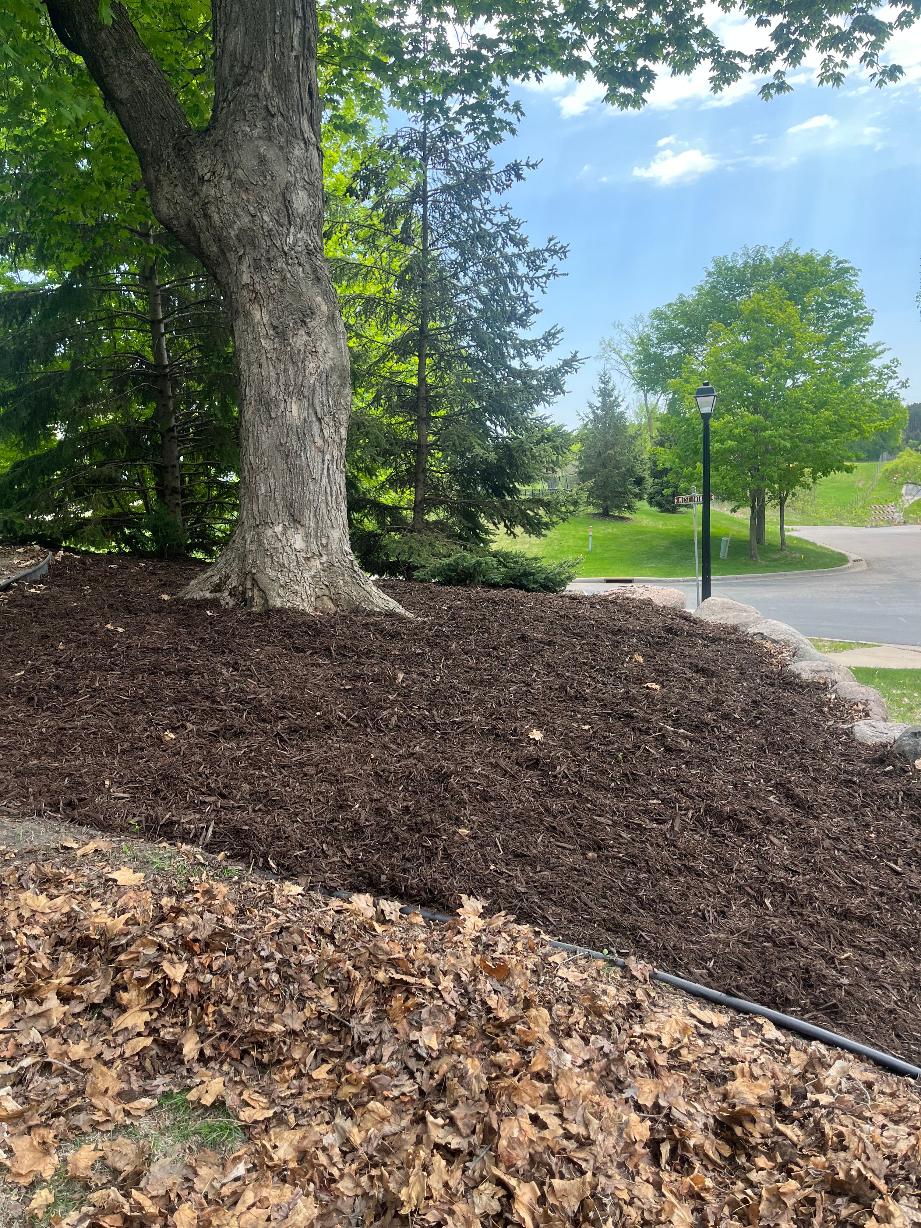 Mulch Masters project