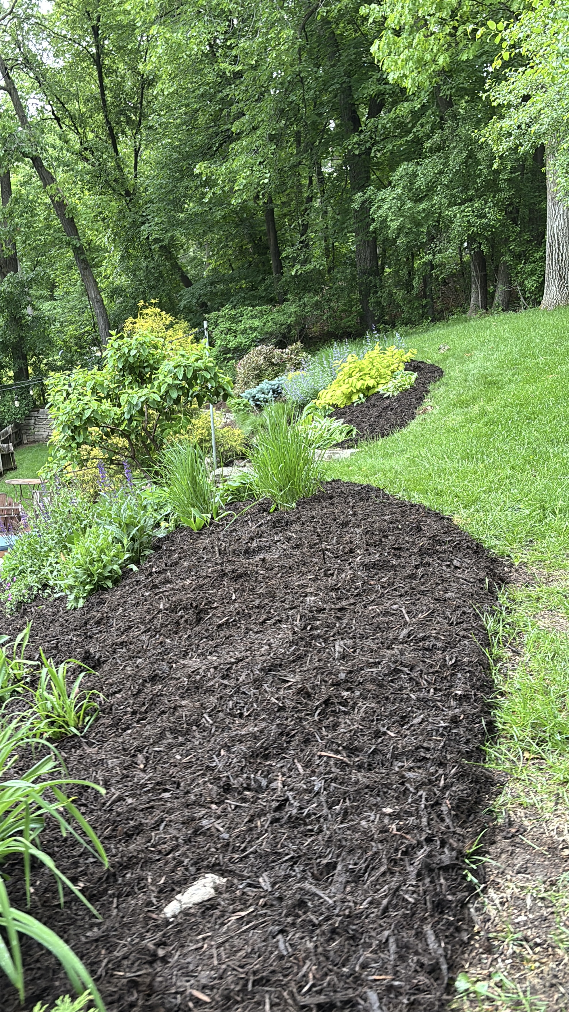 Mulch Masters project